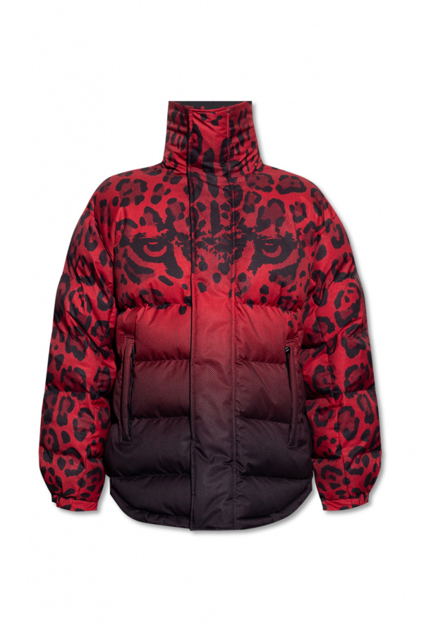 Dolce and gabbana winter jacket best sale